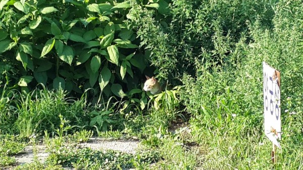 2014-06-14 17.46.33_result.jpg